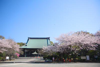 遊行寺（清浄光寺）