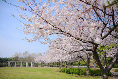 長久保公園