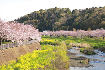 引地川親水公園