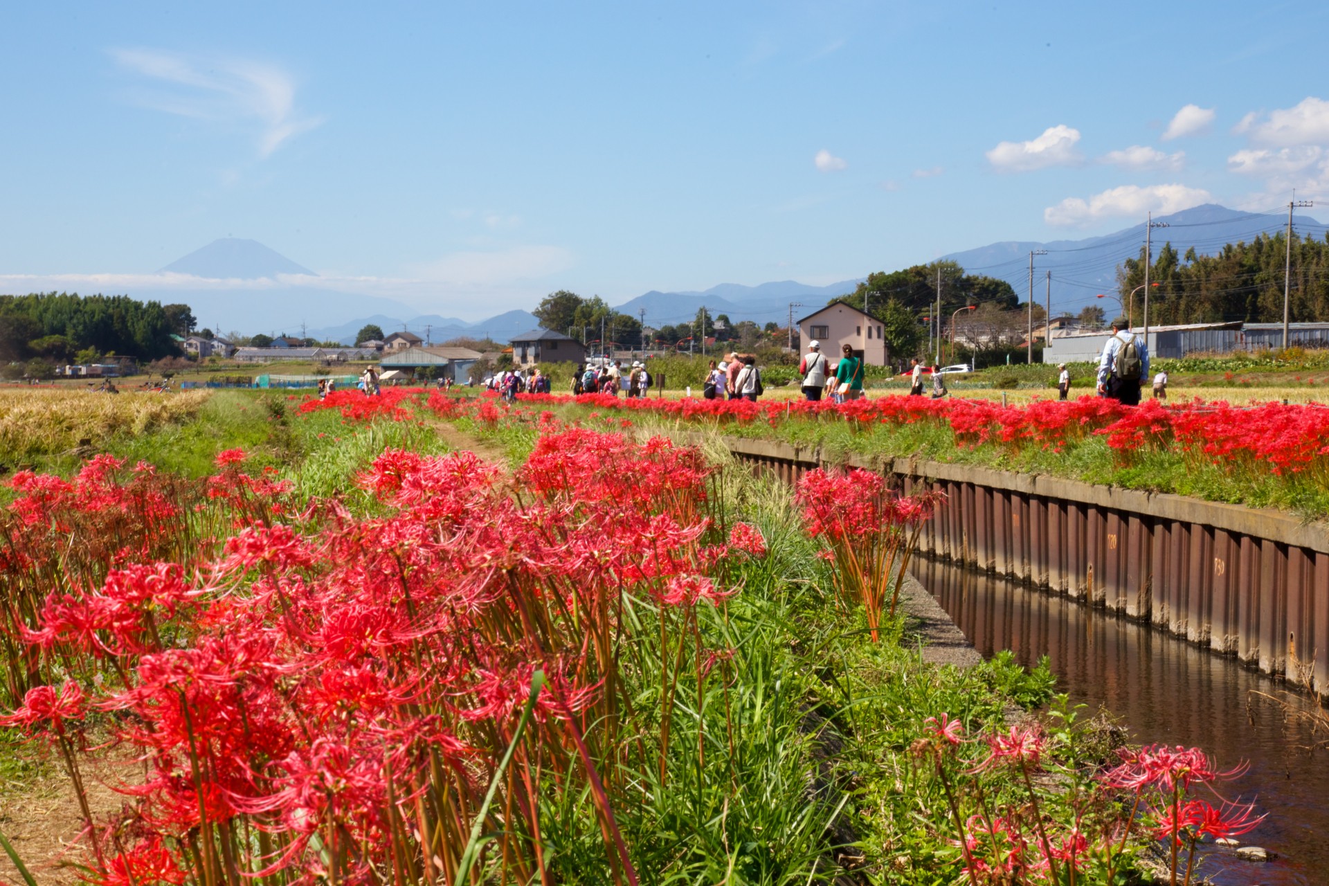 小出川