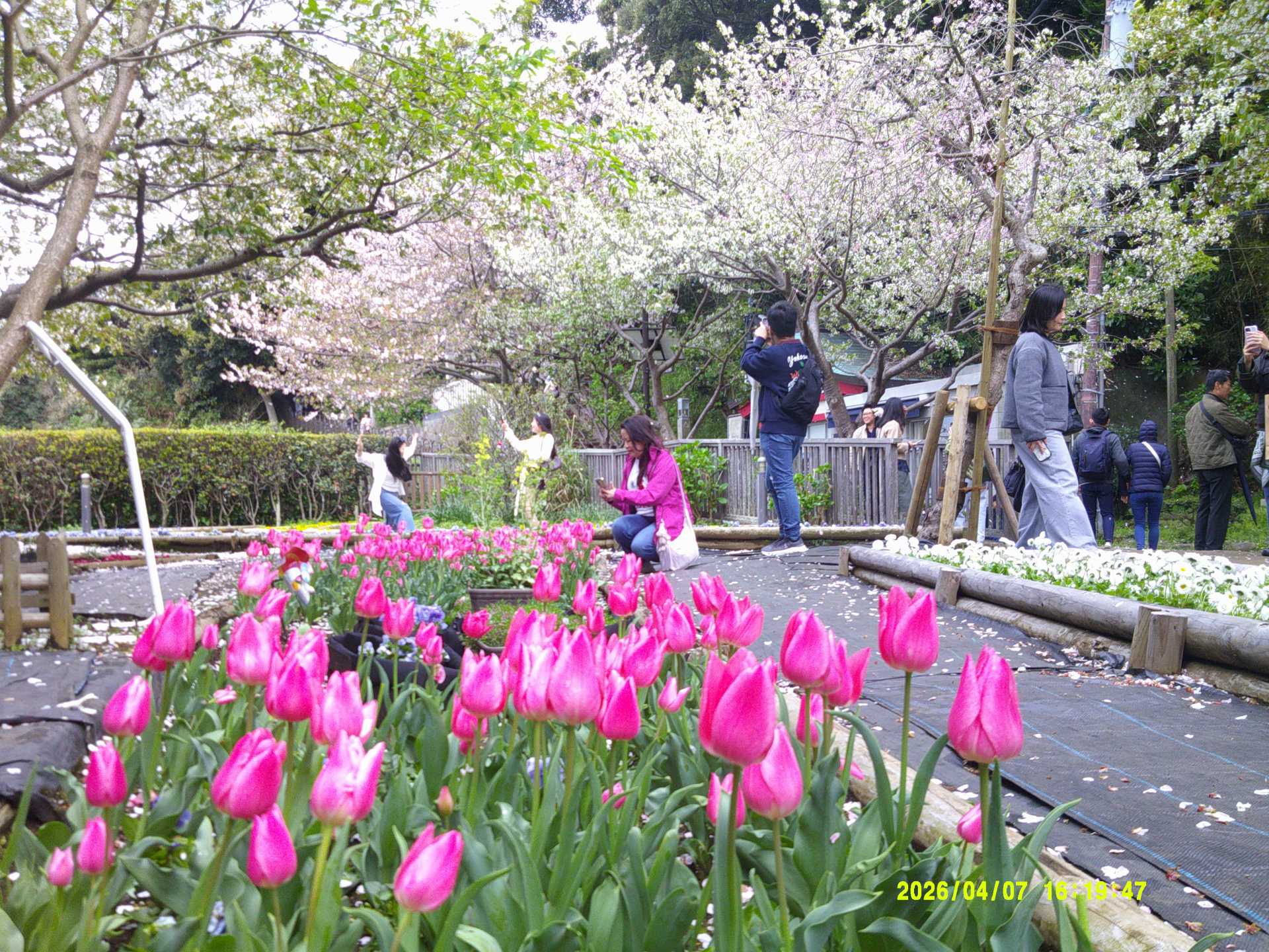 中津宮広場