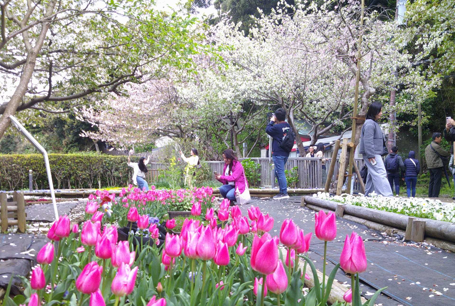 中津宮広場