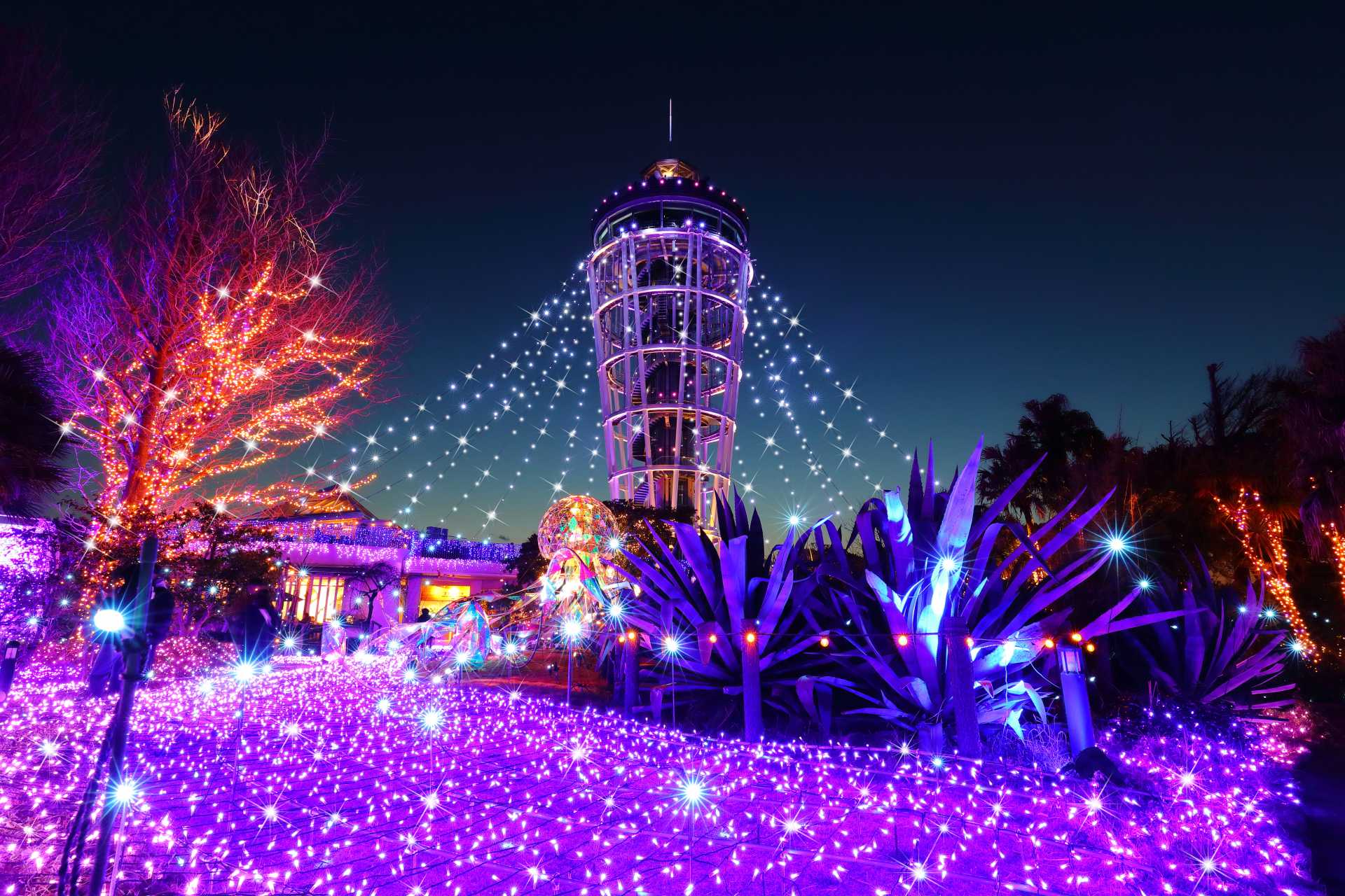 湘南の宝石~江の島を彩る光と色の祭典~