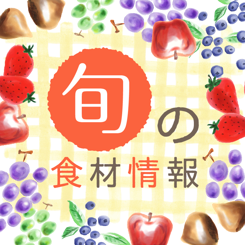 旬の食材情報