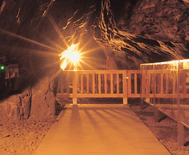 「江の島岩屋」営業再開について