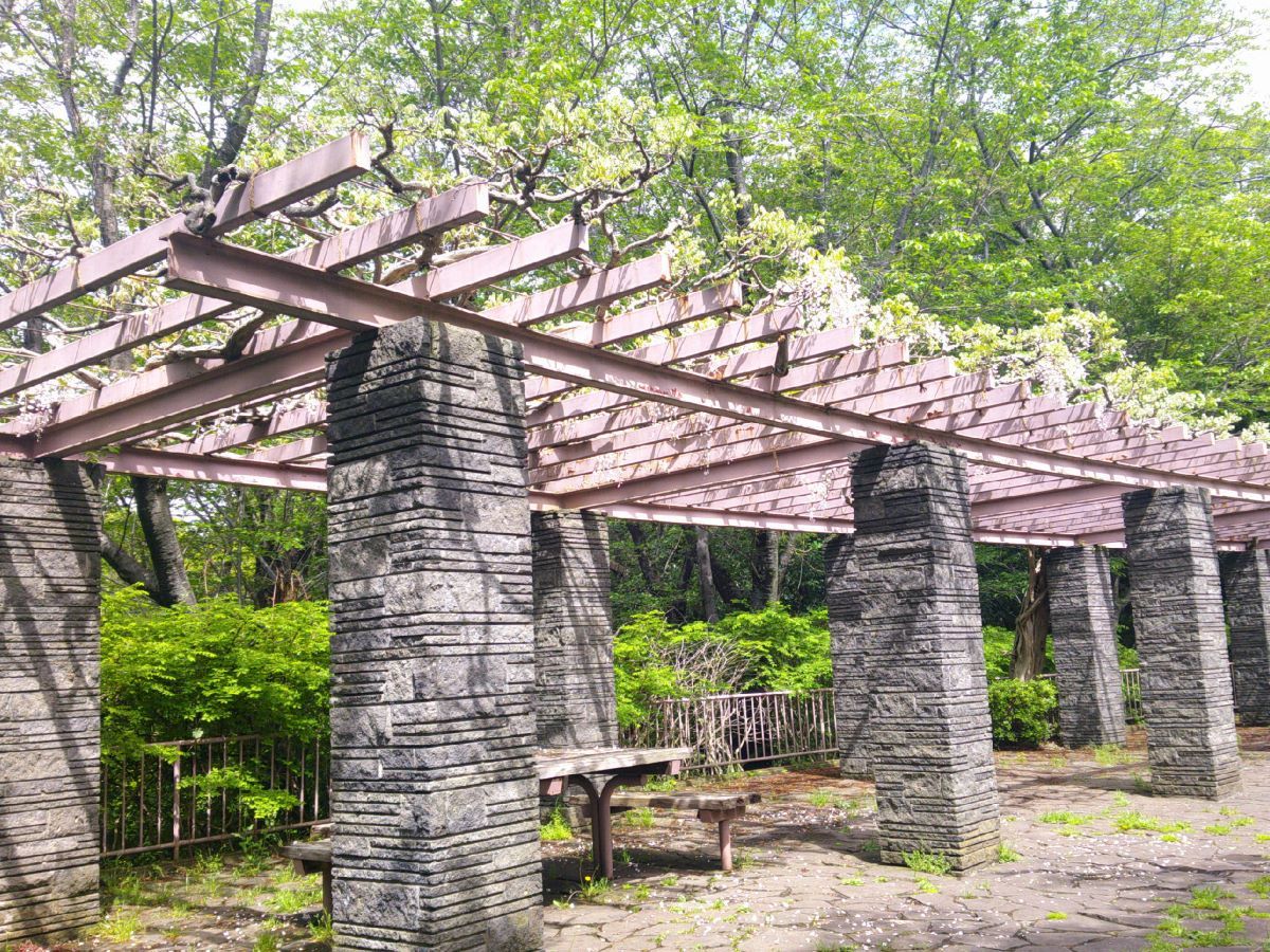 フジロード | 特集 | 藤沢市観光公式ホームページ