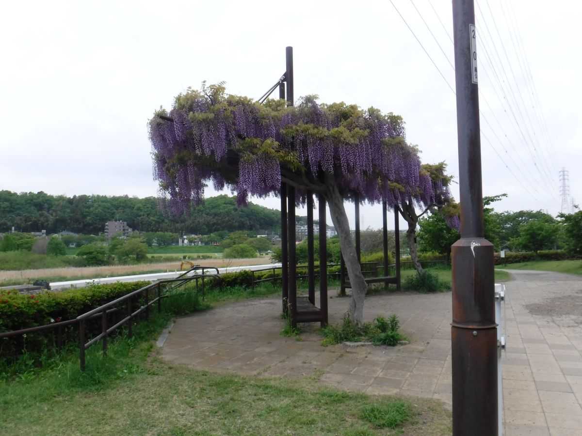 現況ヒキ画像