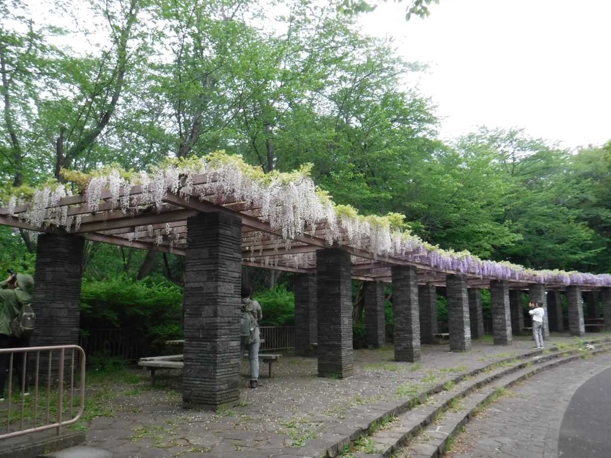 現況ヒキ画像