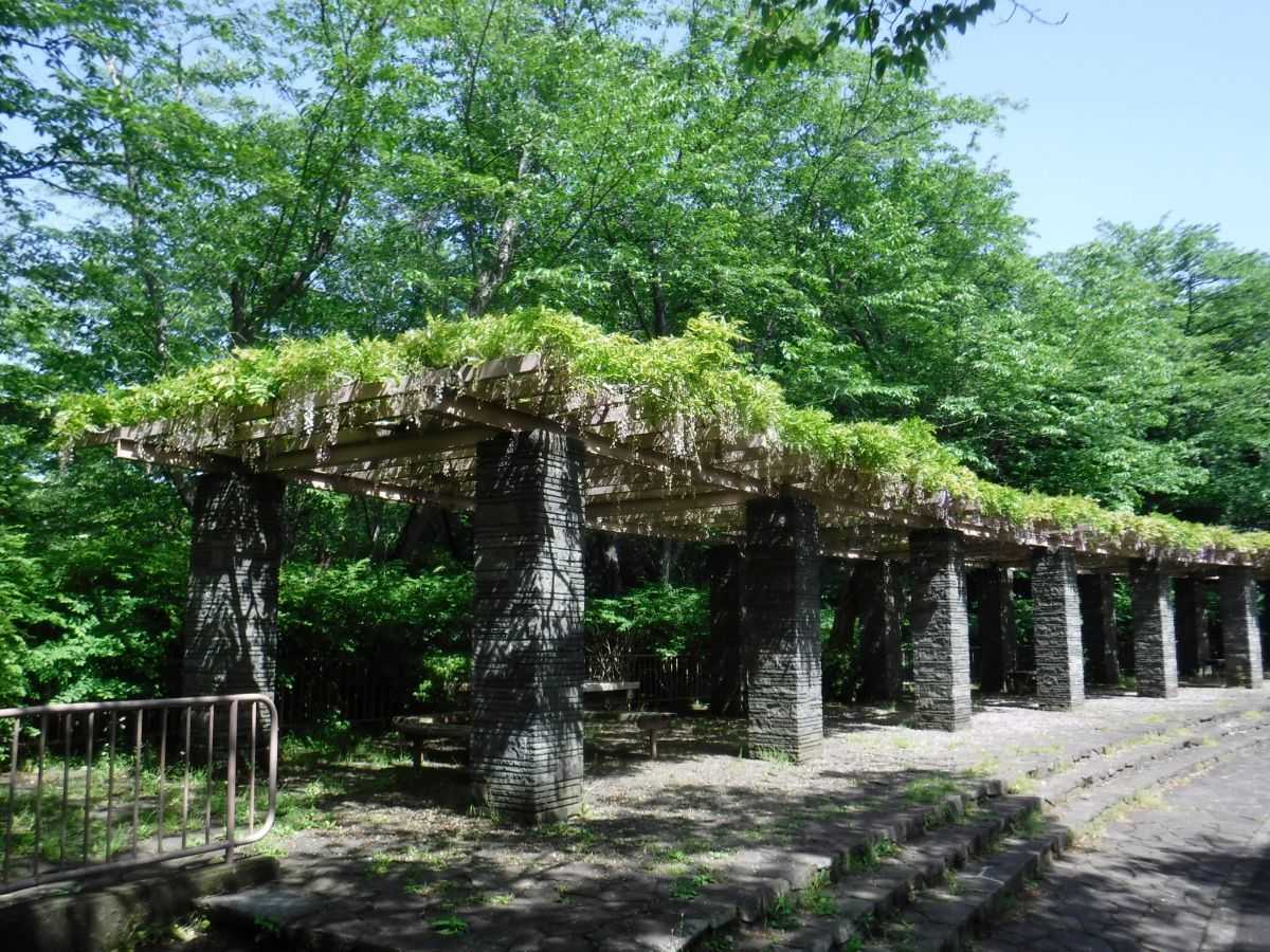 現況ヒキ画像