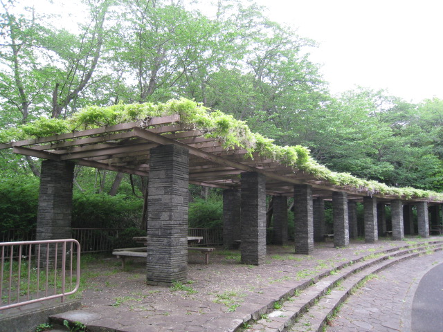 現況ヒキ画像
