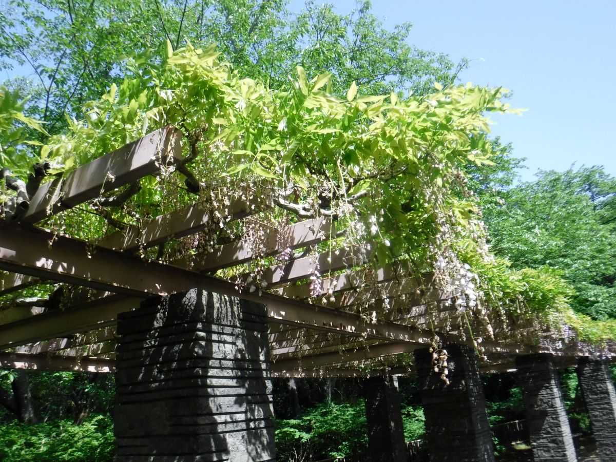 現況ヨリ画像