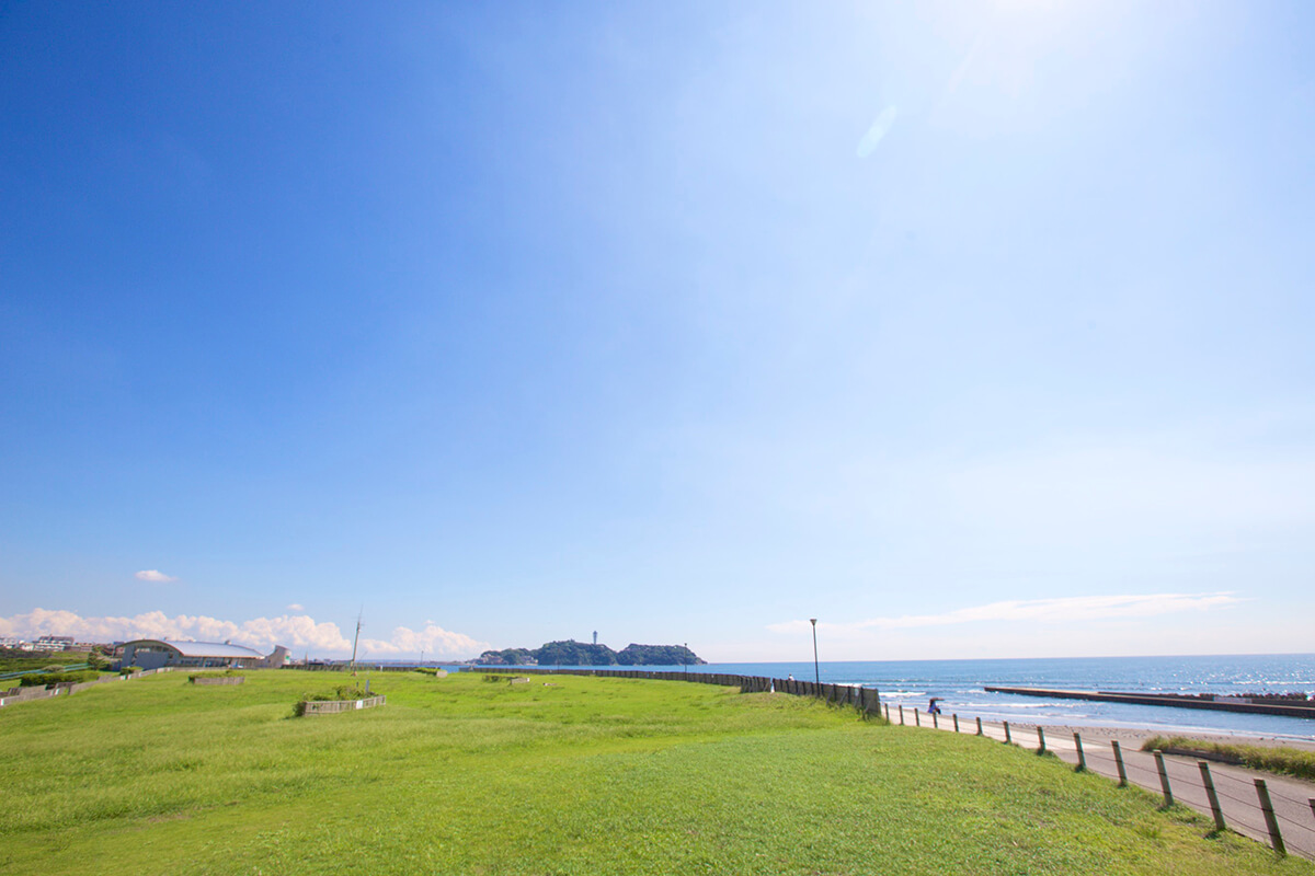 県立湘南海岸公園 観光スポット 片瀬 鵠沼 藤沢市観光公式ホームページ