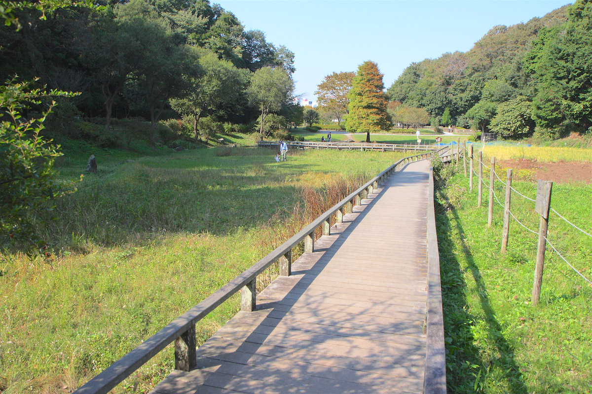 新林公園