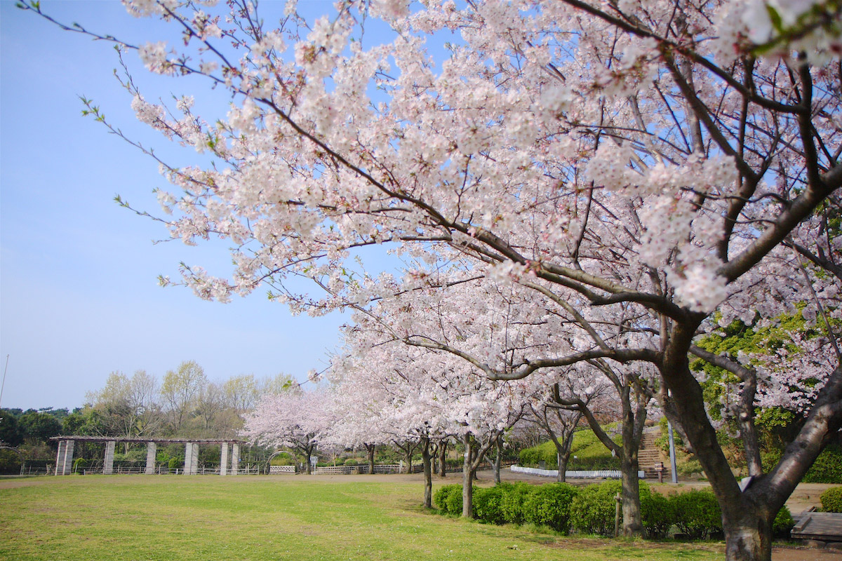 長久保公園