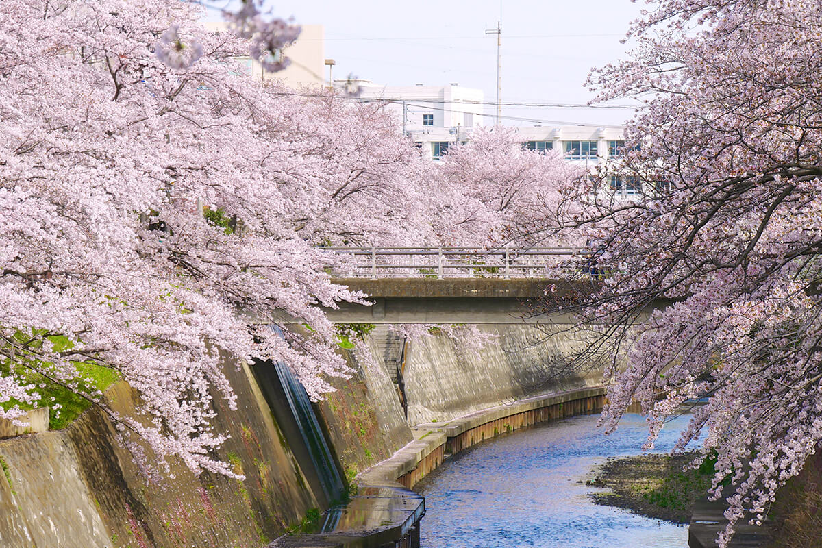 円行公園