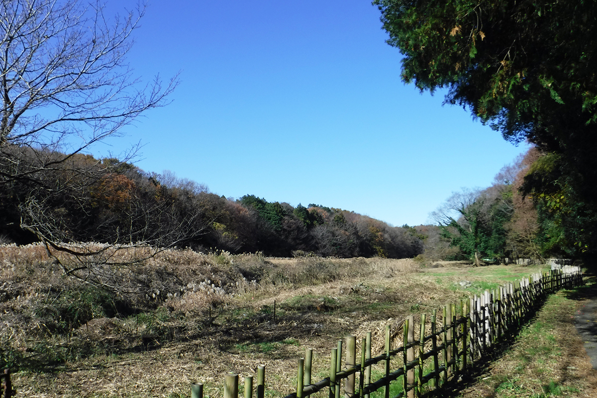 遠藤健康の森