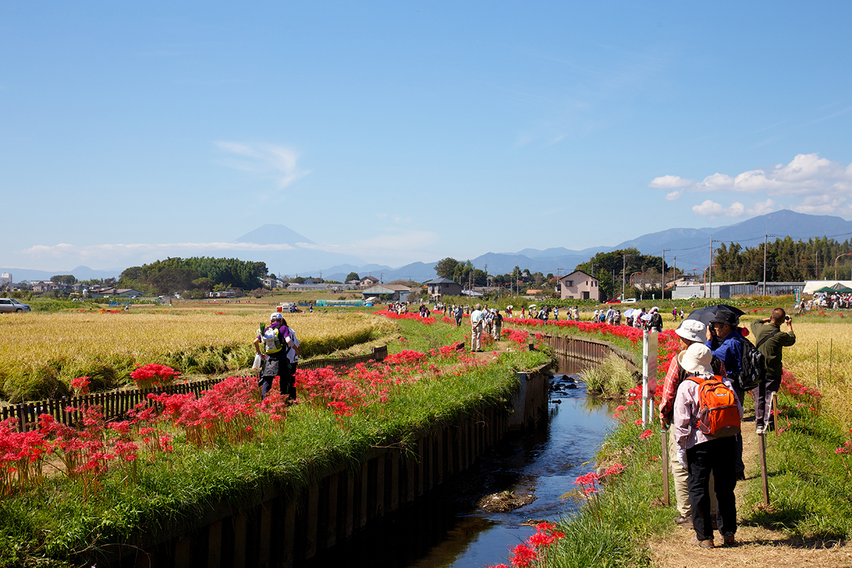 小出川