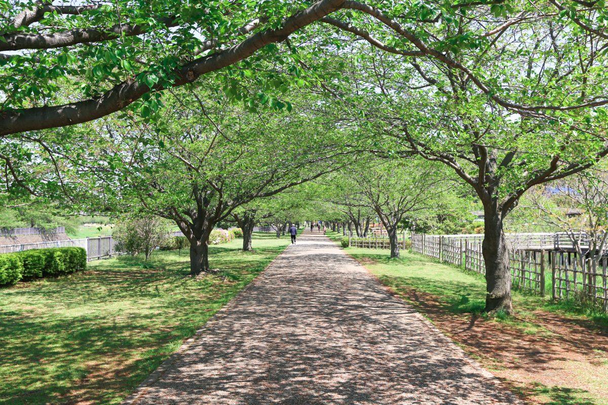 親水公園