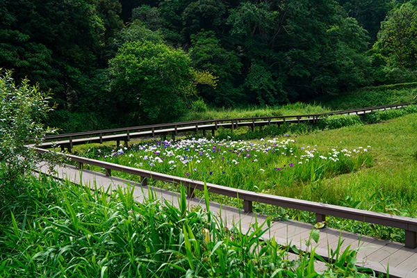 新林公園