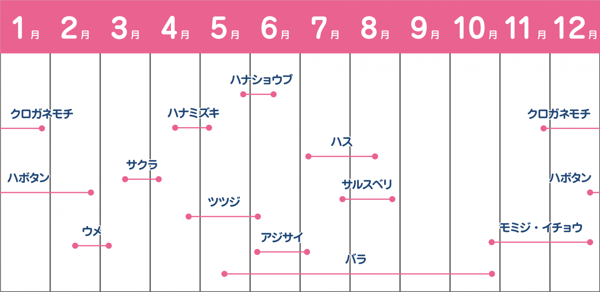 開花スケジュール