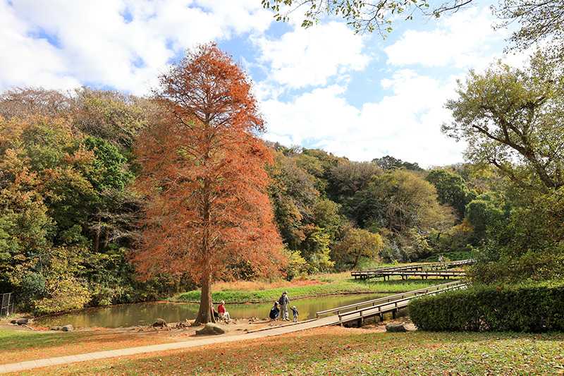 新林公園の公園