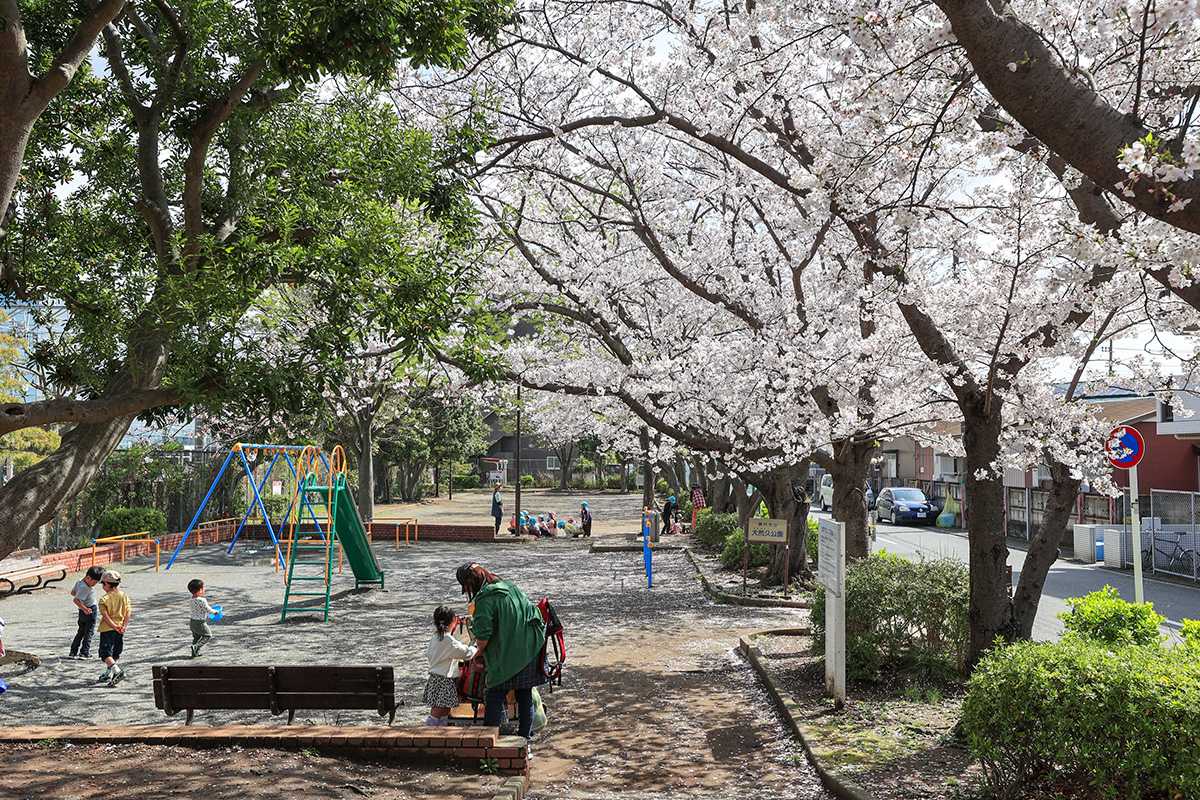 大荒九公園