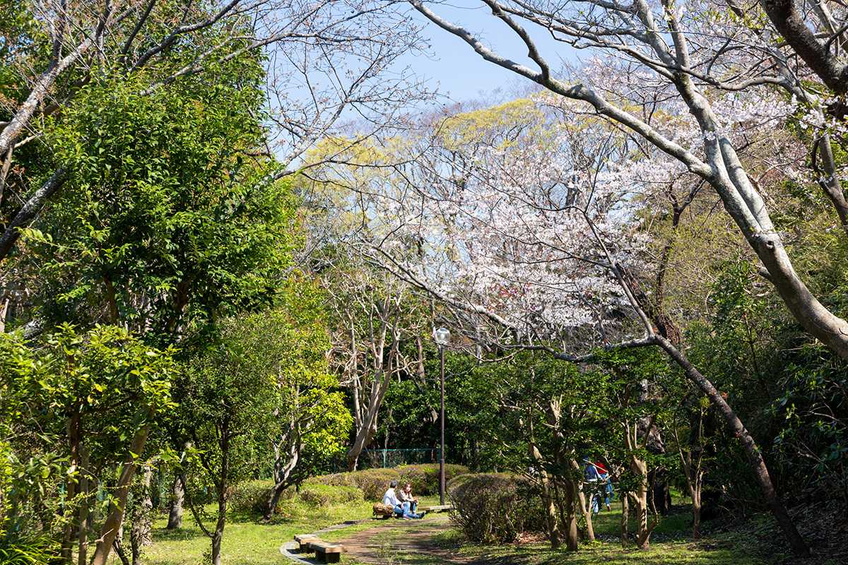 片瀬山公園