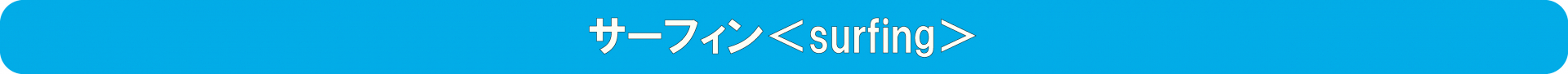 サーフィン＜SURFING＞