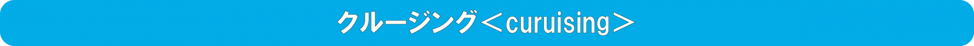 クルージング＜CRUSING＞