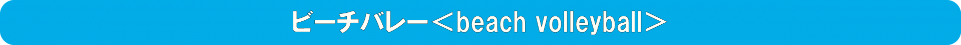 ビーチバレー＜BEACH VOLLYBALL＞