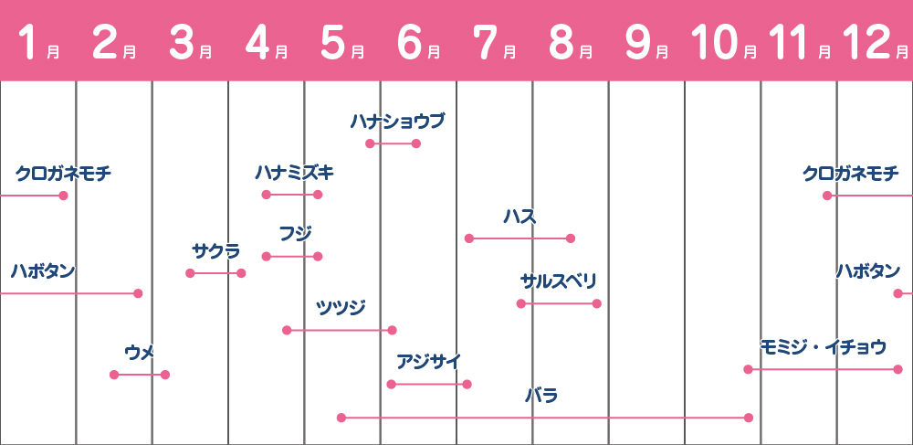 開花スケジュール