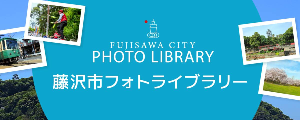 竜藤様確認ページ