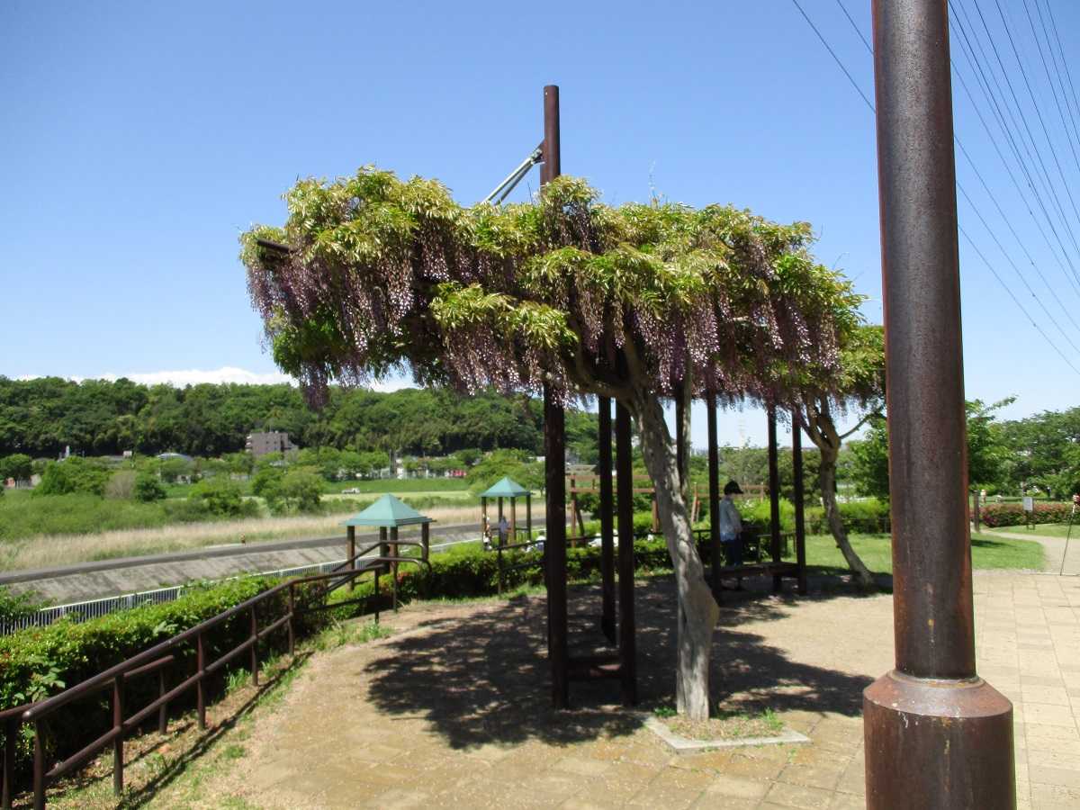 現況ヒキ画像