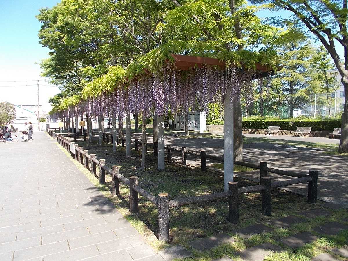 現況ヒキ画像