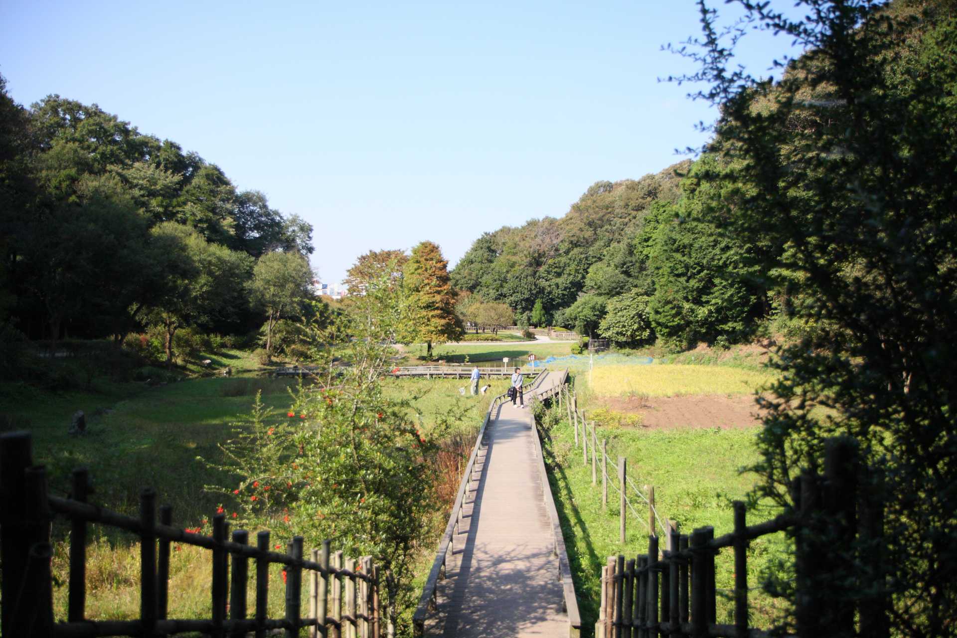 新林公園