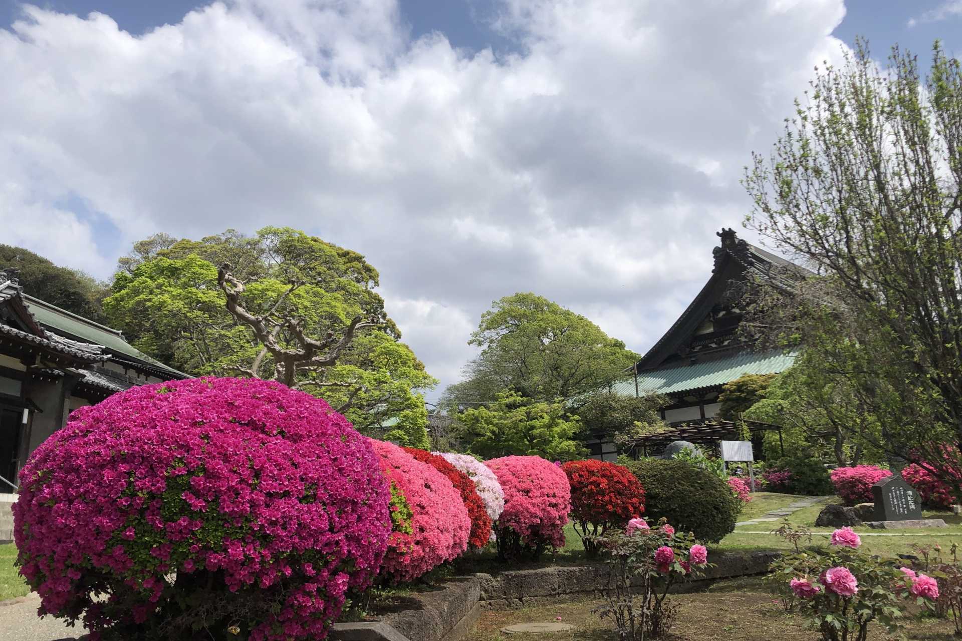 清浄光寺（遊行寺）