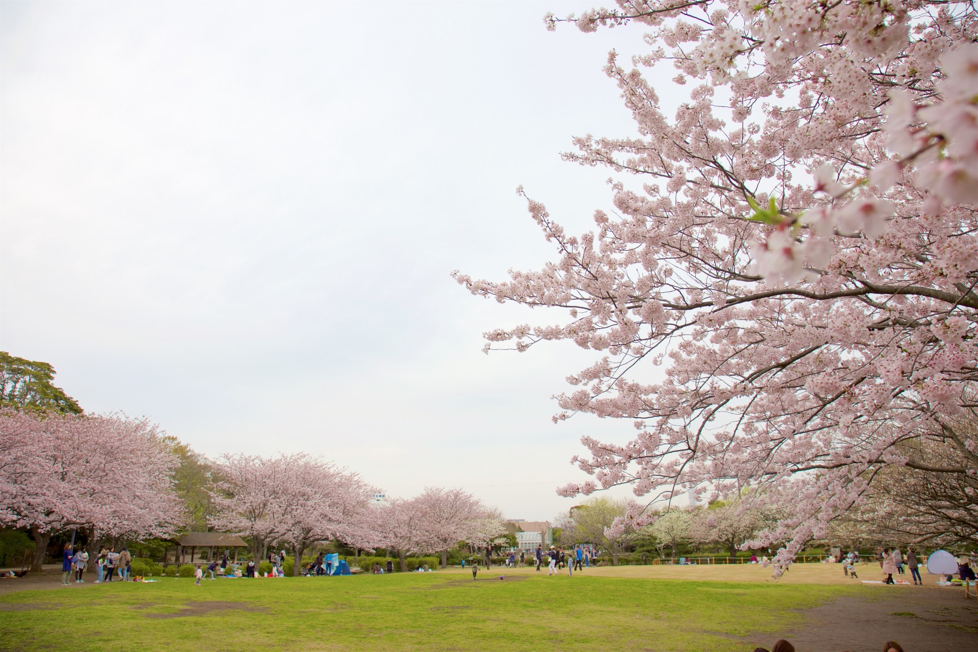 長久保公園