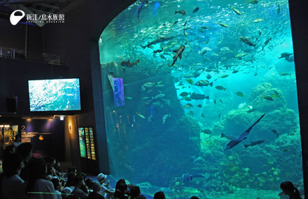 新江ノ島水族館